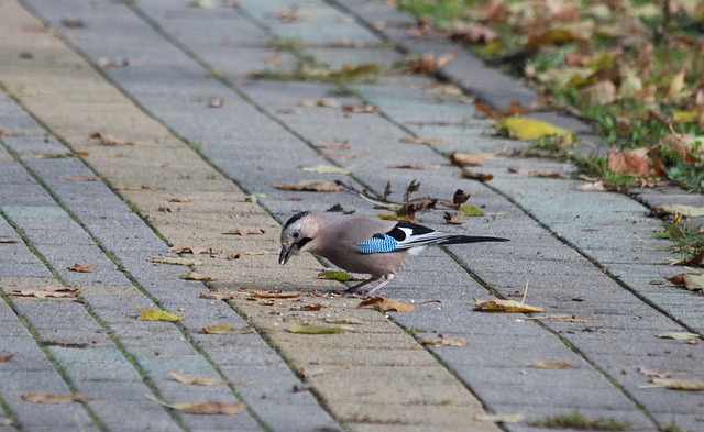 },{img_count＂：7,＂f_docid＂：＂wapkd：887bcecc00102fnsw.
