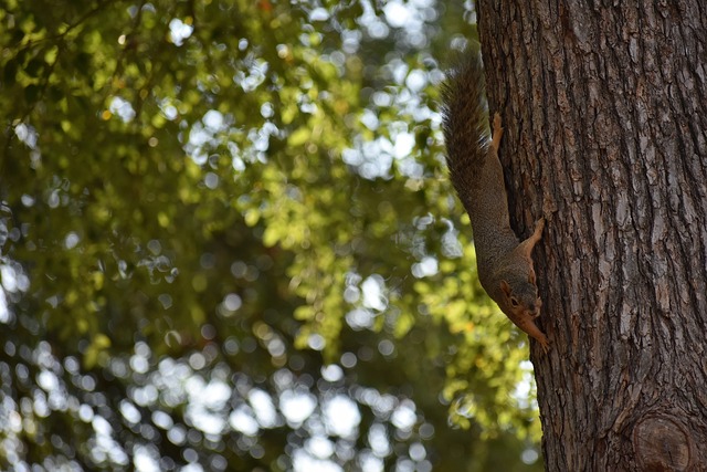 20-21賽季西甲聯賽第38輪比賽集錦.