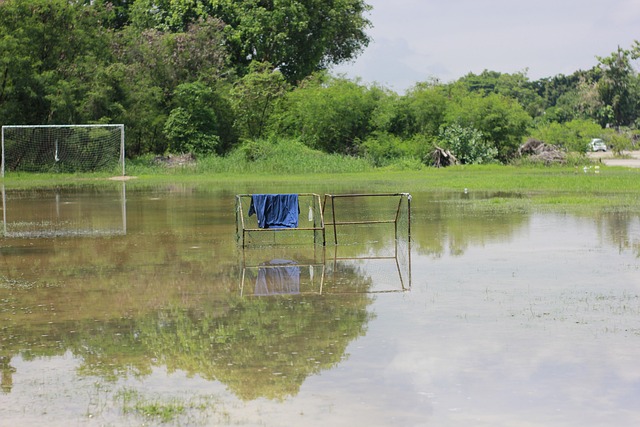 期仍重返曼 期仍重返曼