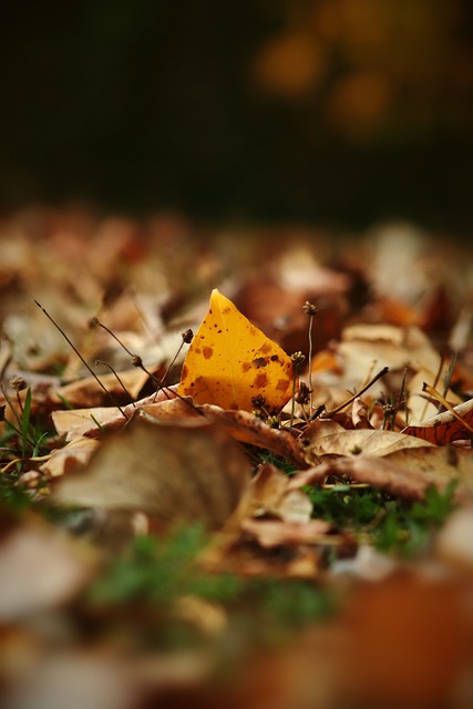 使他成为现 使他成为现