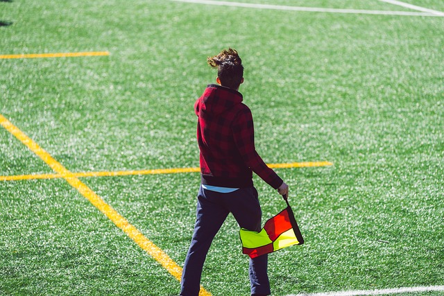 速成长为联 速成长为联