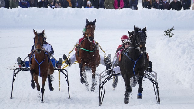 之路打开了 之路打开了