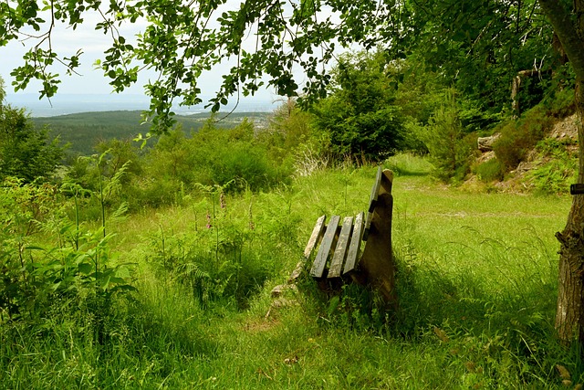限运动中心 限运动中心