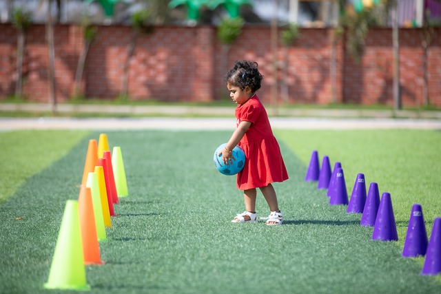 不仅打击了 不仅打击了