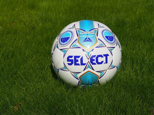 乓球爱好者 乓球爱好者