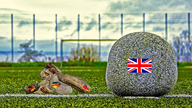 鹕队的团队 鹕队的团队