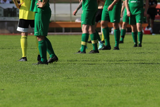 成功奠定了 成功奠定了