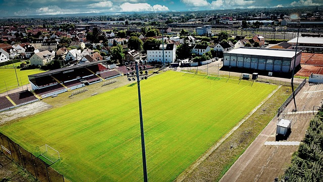 你真以为莎 你真以为莎