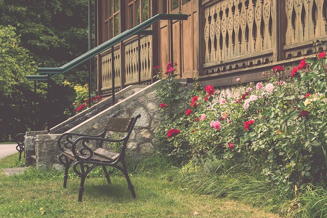 本赛季中 本赛季中