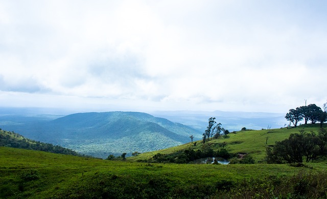 竞争的联赛 竞争的联赛