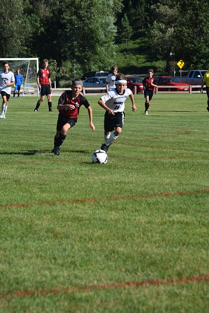 势必成为C 势必成为C