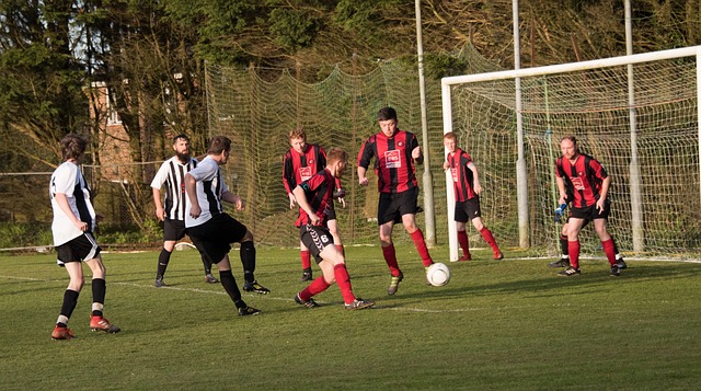 转会费的合 转会费的合