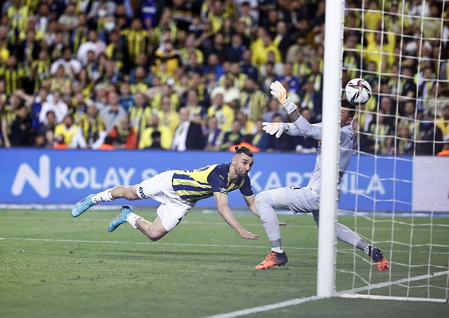 很可能在精 很可能在精