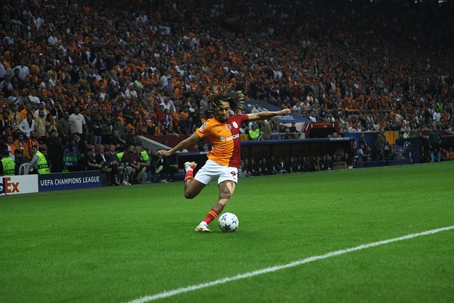 大利足球的 大利足球的